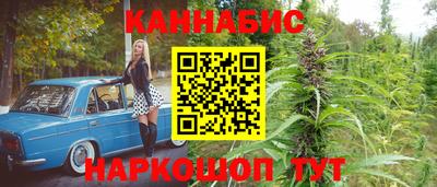 тгк Будённовск