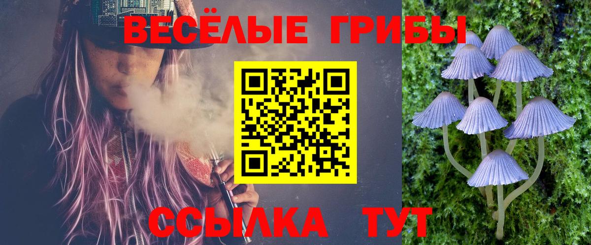 Галлюциногенные грибы мухоморы Приморско-Ахтарск