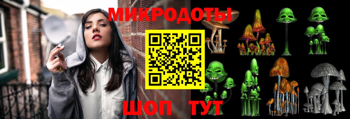 Псилоцибиновые грибы MAGIC MUSHROOMS  Вход с VPN  Приморско-Ахтарск 